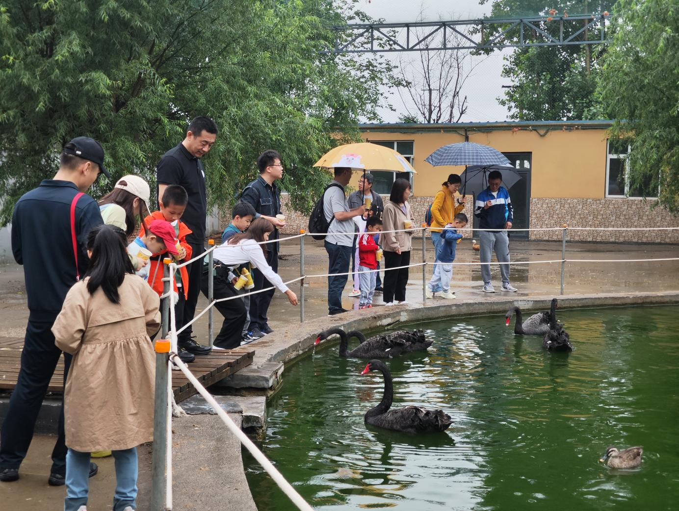 首页- 尊龙集团中国官方网站